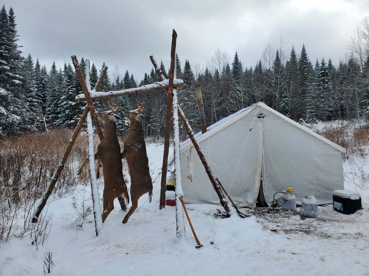 Whitetail Deer Hunts